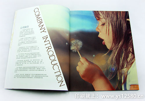 宣傳畫冊(cè)印刷